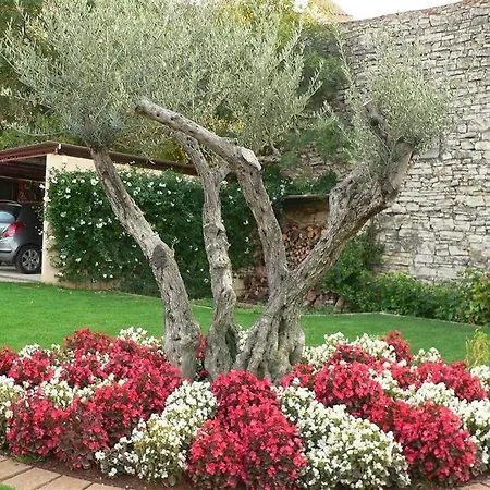 Maria فيلة *